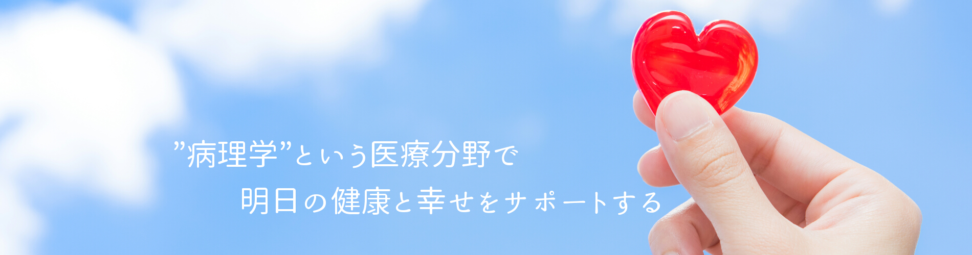 血液学的検査・動物病理の検査センター